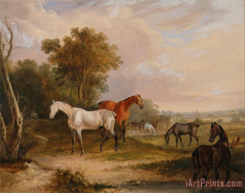 Horses Grazing a Grey Stallion Grazing with Mares in a Meadow painting - Francis Calcraft Turner Horses Grazing a Grey Stallion Grazing with Mares in a Meadow Art Print