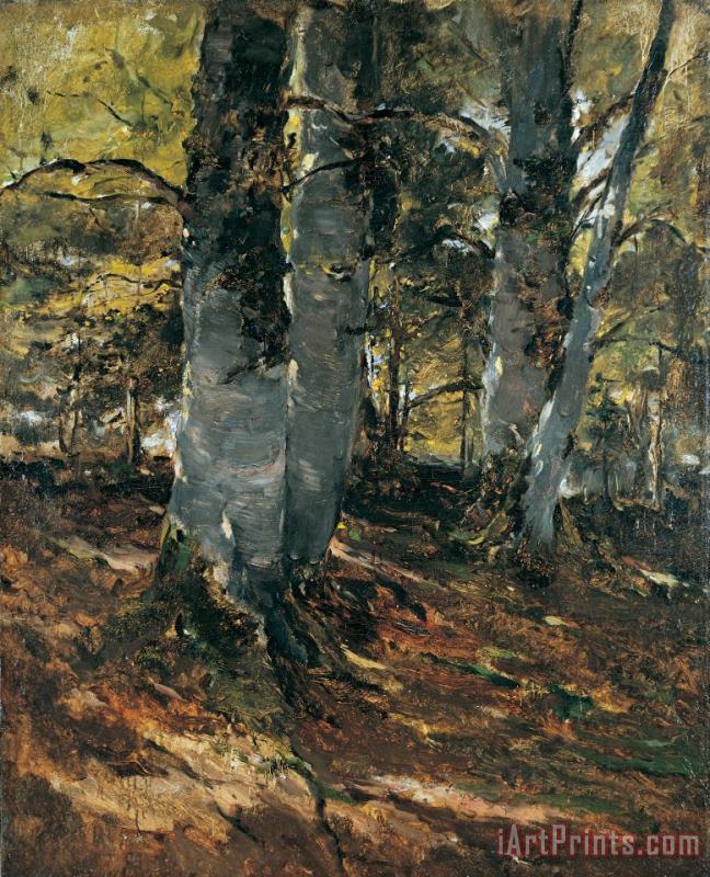 Beechwoods at Polling Bavaria painting - Frank Duveneck Beechwoods at Polling Bavaria Art Print