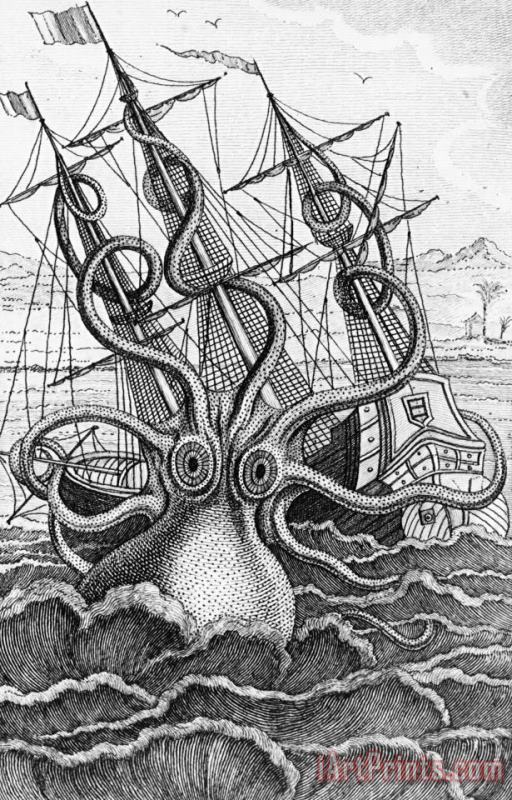 French School Giant Octopus Illustration From L Histoire Naturelle Generale Et Particuliere Des Mollusques Art Painting