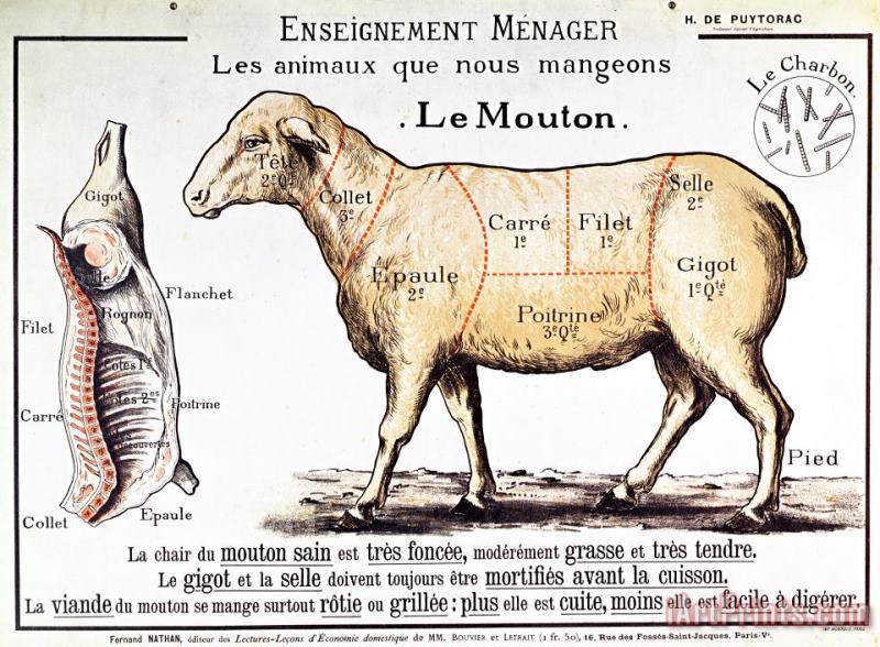 Mutton painting - French School Mutton Art Print
