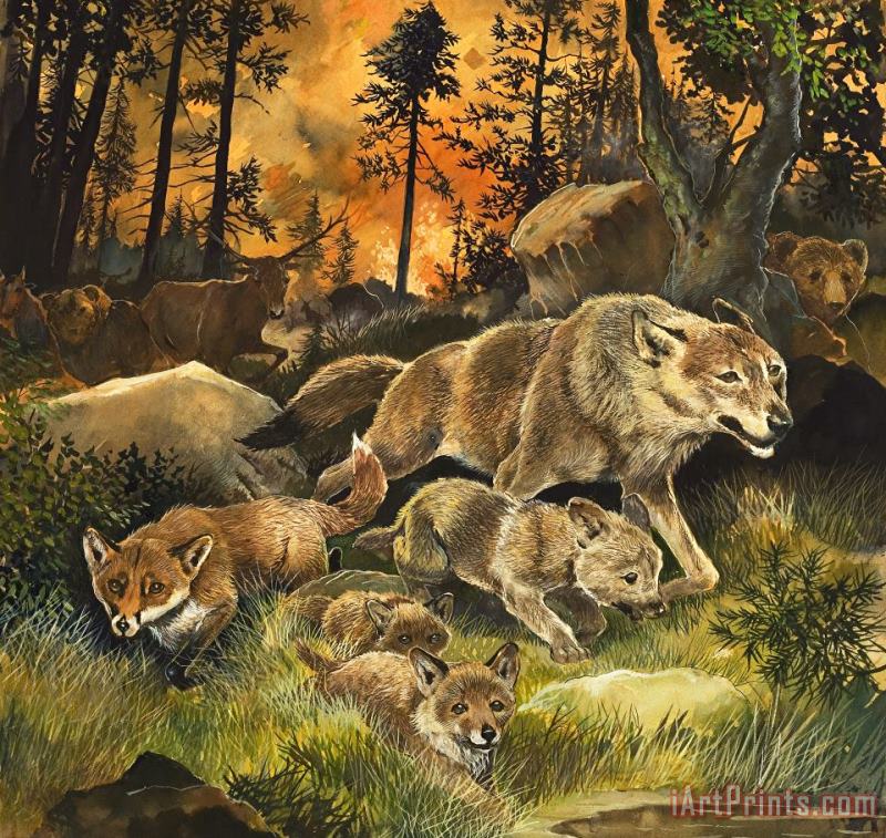 G W Backhouse Animals United in Terror as They Flee from a Forest Fire Art Painting