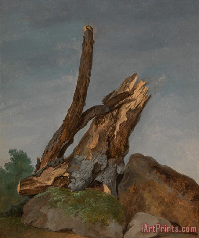 George Augustus Wallis Study of Rocks And Branches Art Painting
