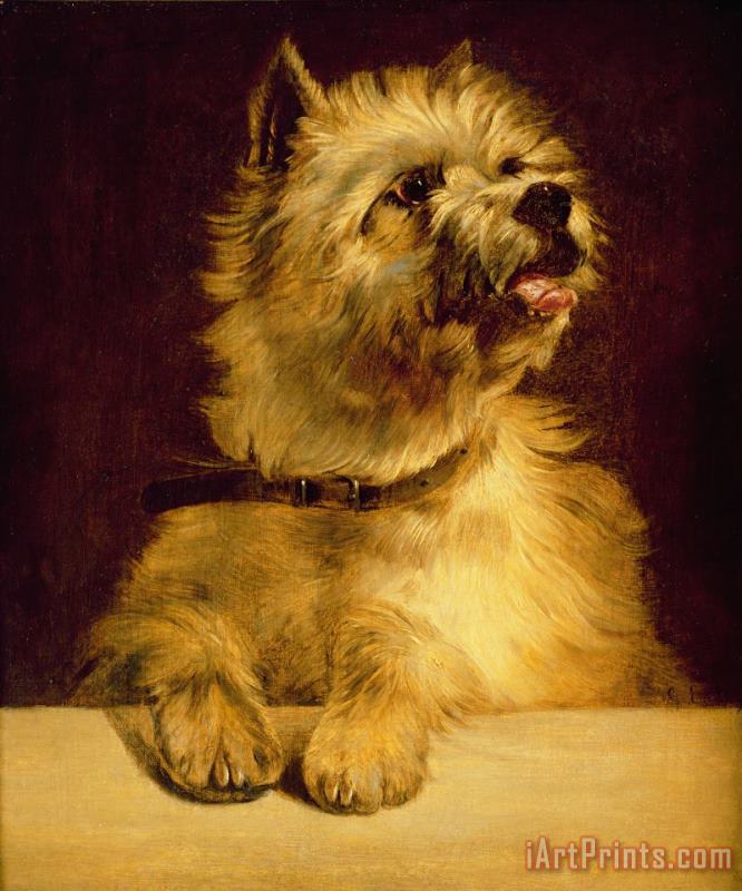 George Earl Cairn Terrier Art Painting