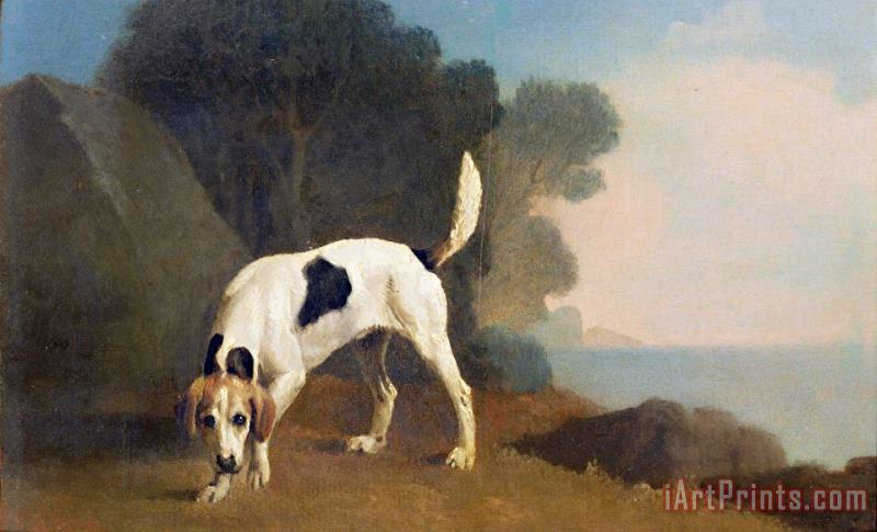 Foxhound on the Scent painting - George Stubbs Foxhound on the Scent Art Print