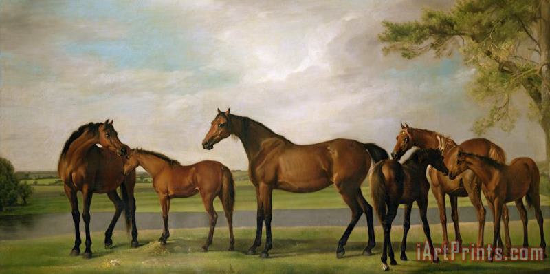George Stubbs Mares And Foals Disturbed By An Approaching Storm Art Print