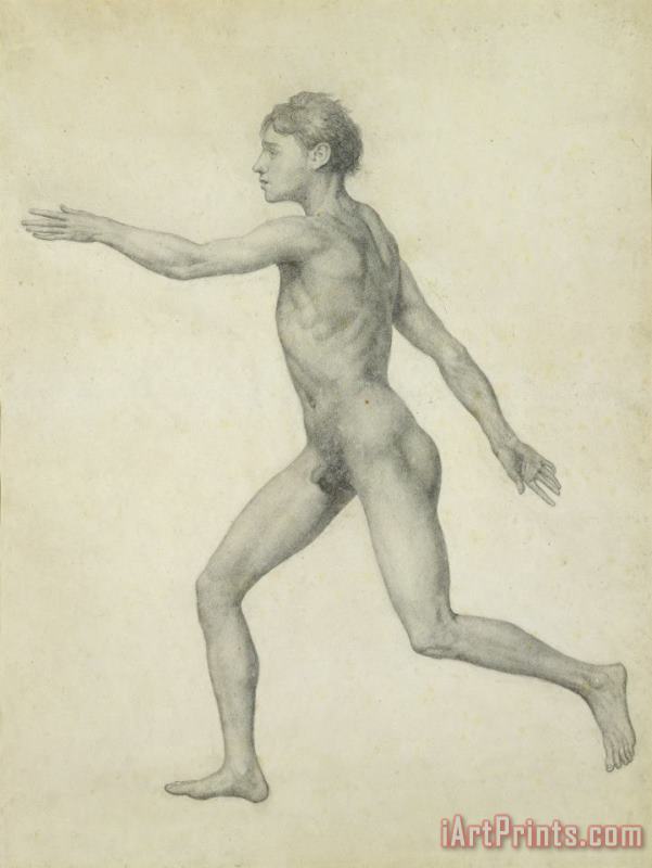 The Entire Human Figure From The Left Lateral View painting - George Stubbs The Entire Human Figure From The Left Lateral View Art Print