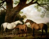 George Stubbs - Two Mares and a Foal painting