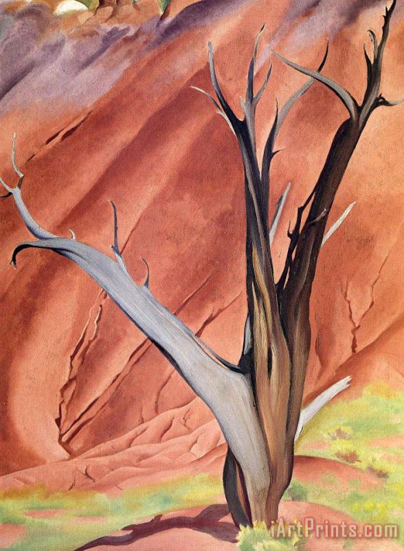 Georgia O'keeffe Gerald's Tree Art Painting