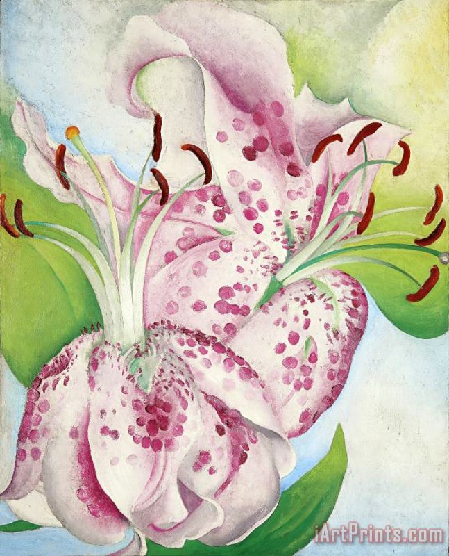 Pink Spotted Lillies, 1936 painting - Georgia O'keeffe Pink Spotted Lillies, 1936 Art Print