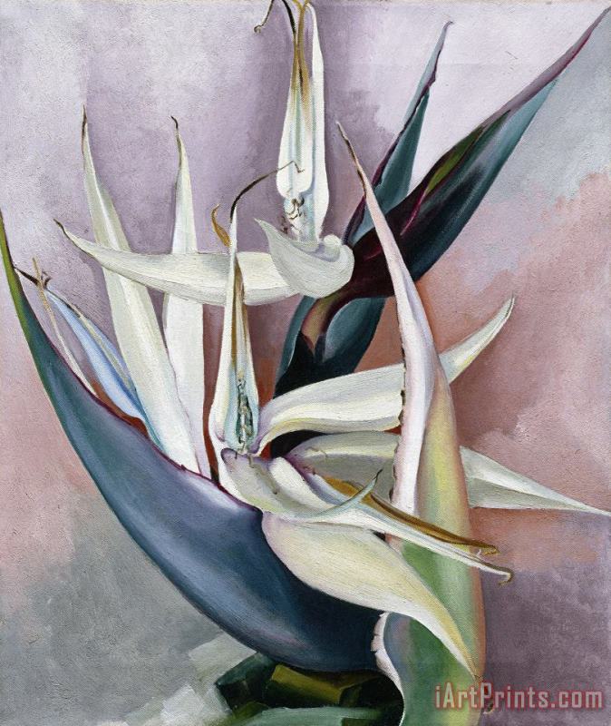 Georgia O'keeffe White Bird of Paradise, 1939 Art Painting