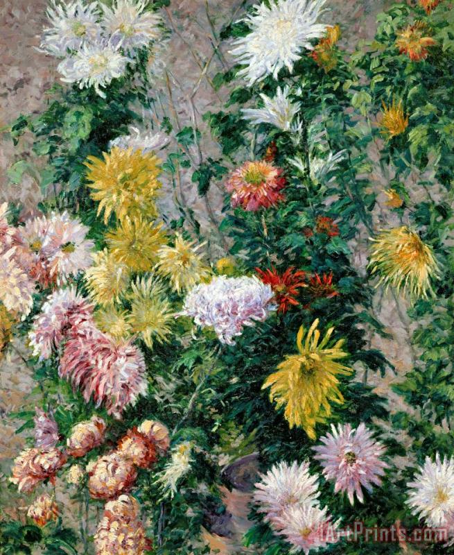Gustave Caillebotte White and Yellow Chrysanthemums Art Print