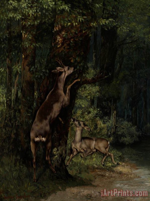 Deer In The Forest painting - Gustave Courbet Deer In The Forest Art Print