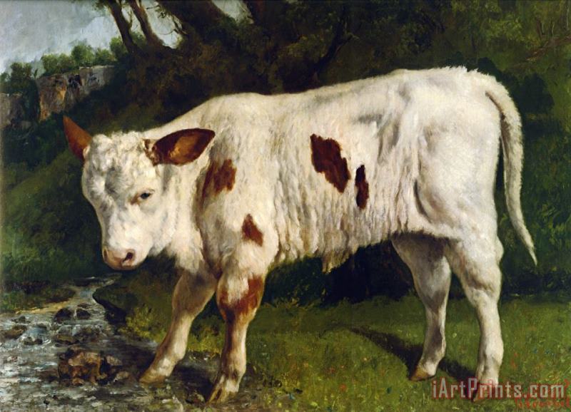 Le Veau Blanc painting - Gustave Courbet Le Veau Blanc Art Print
