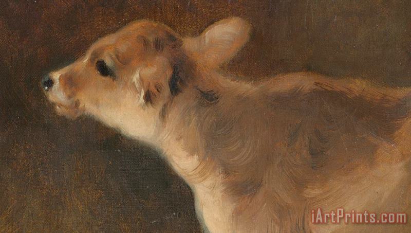 A Calf painting - GW Horlor A Calf Art Print