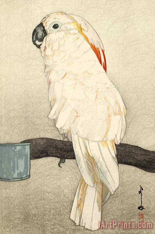 Hiroshi Yoshida Obatan Parrot (dobutsu En, Obatan Omu), From The Zoological Garden Series Art Painting