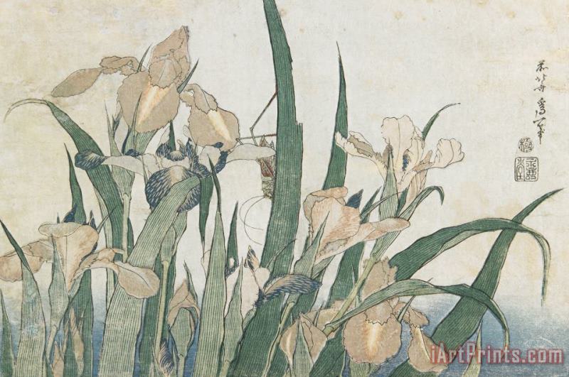 Hokusai Iris Flowers And Grasshopper Art Painting