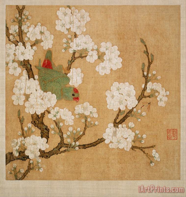 Huang Jucai Parrot And Insect Among Pear Blossoms Art Painting
