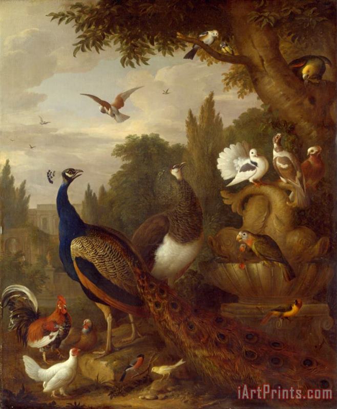 Jacob Bogdani Peacock, Peahen, Parrots, Canary, And Other Birds in a Park Art Print