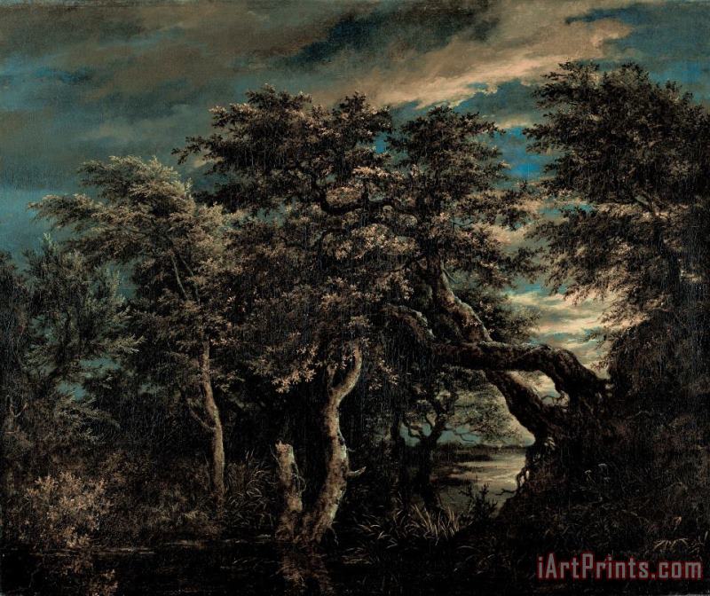 Jacob Isaacksz. Van Ruisdael A Marsh in a Forest at Dusk Art Painting