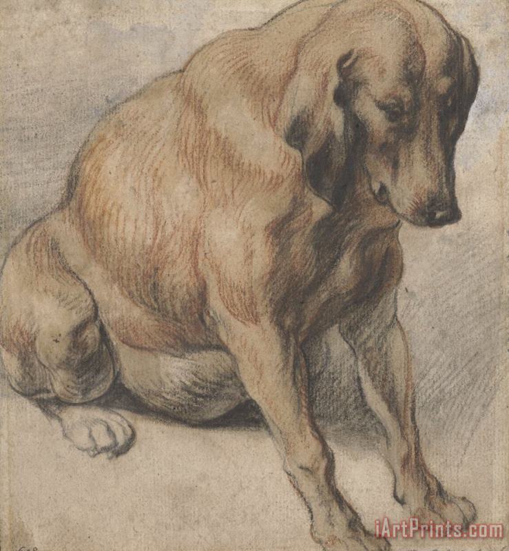 Jacob Jordaens Zittende Zwangere Hond Art Painting