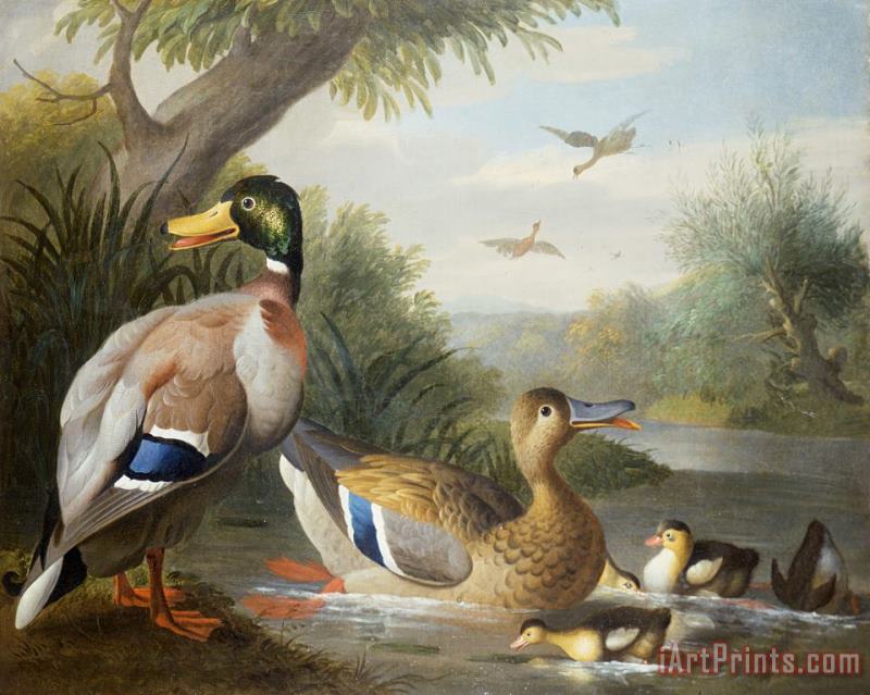 Jakob Bogdany Ducks in a River Landscape Art Painting