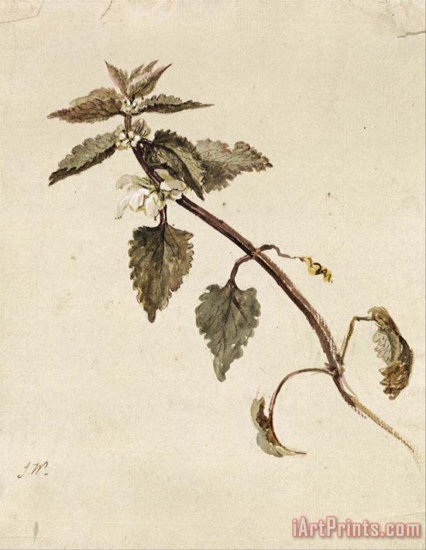 James Ward A Foliated Branch Art Painting