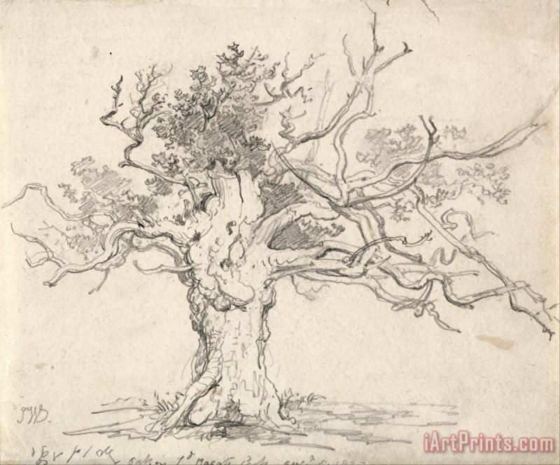 A Stunted Oak painting - James Ward A Stunted Oak Art Print