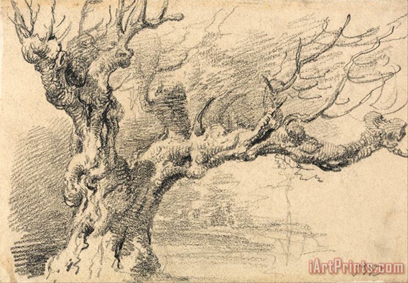 An Old Oak Tree painting - James Ward An Old Oak Tree Art Print