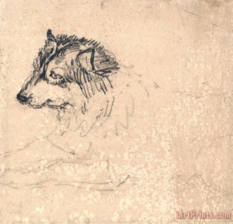 James Ward Arctic Dog, Facing Left Art Print