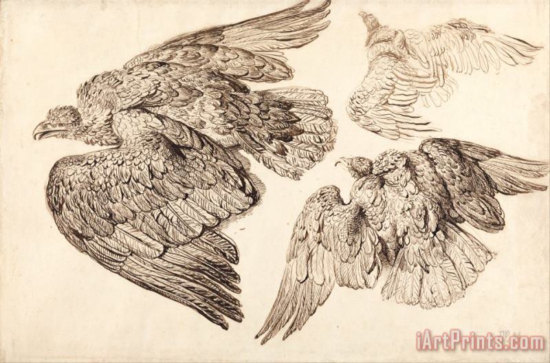 Eagles painting - James Ward Eagles Art Print