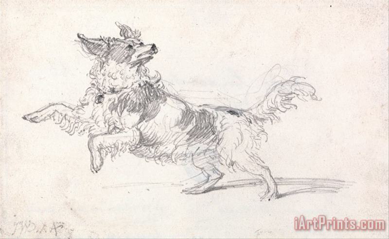 James Ward Lady Londonderry's Dog Art Print
