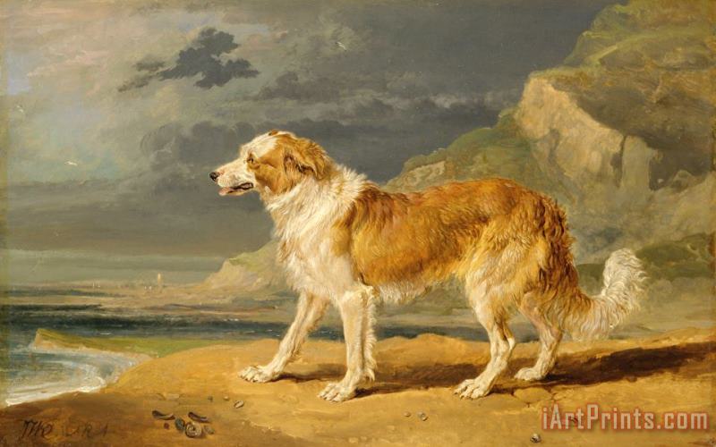 Rough Coated Collie painting - James Ward Rough Coated Collie Art Print