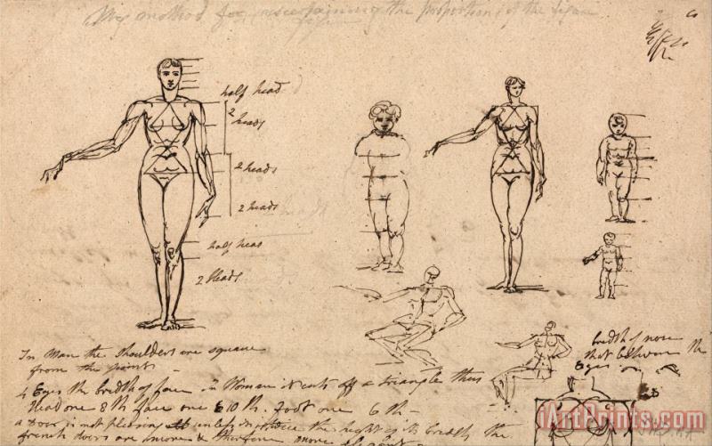Studies of Anatomy, Measurements And Writing painting - James Ward Studies of Anatomy, Measurements And Writing Art Print
