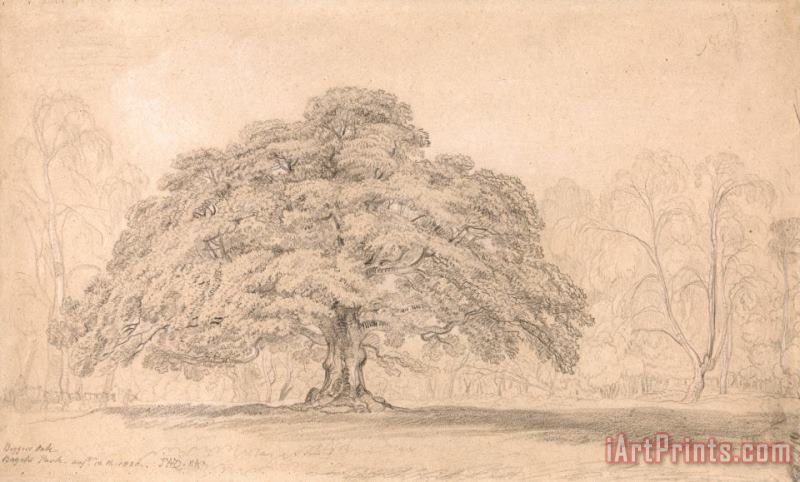 The Beggar's Oak, Bagot's Park, Aug. 12th, 1820 painting - James Ward The Beggar's Oak, Bagot's Park, Aug. 12th, 1820 Art Print