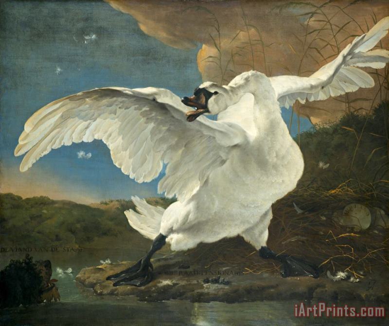 The Threatened Swan painting - Jan Asselyn The Threatened Swan Art Print