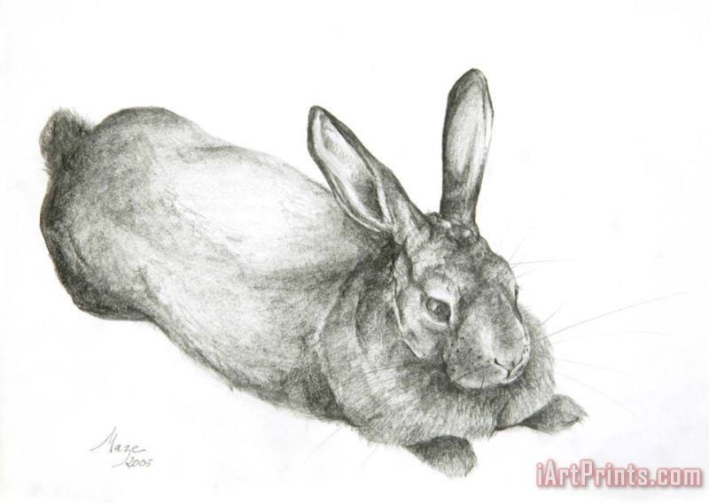 Rabbit painting - Jeanne Maze Rabbit Art Print