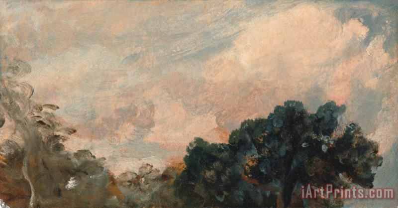 John Constable Cloud Study with Trees Art Print