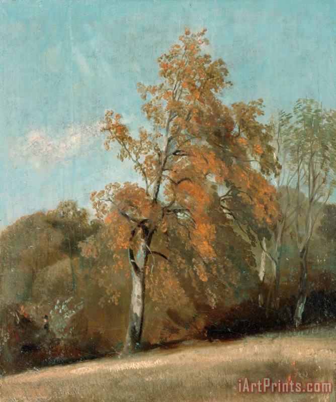 Study of an Ash Tree painting - John Constable Study of an Ash Tree Art Print