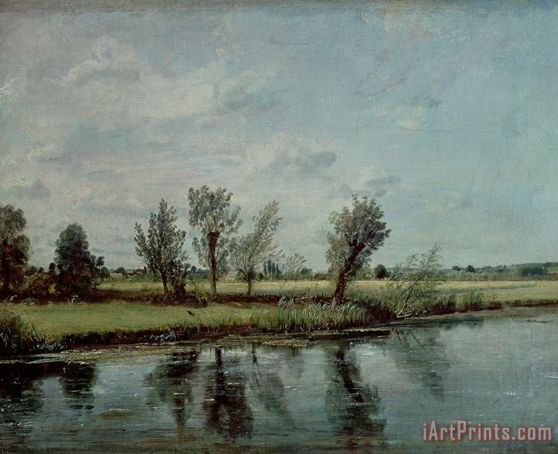 Water Meadows near Salisbury painting - John Constable Water Meadows near Salisbury Art Print