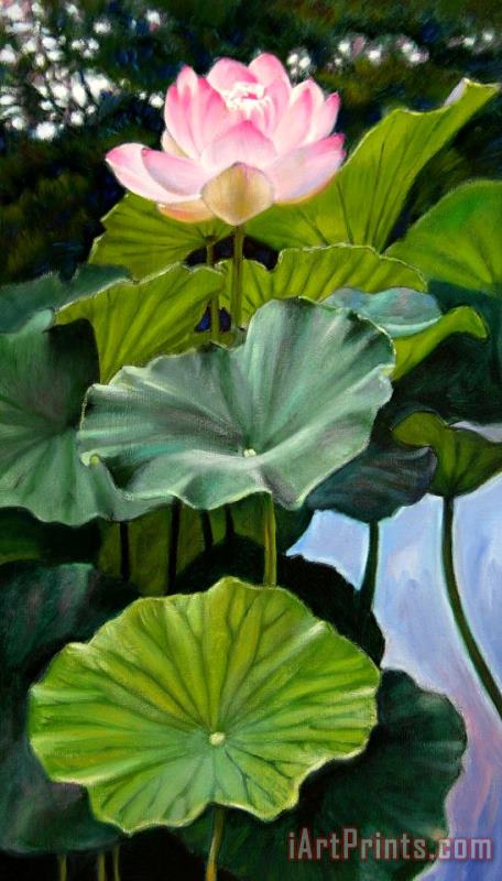 Lotus Rising painting - John Lautermilch Lotus Rising Art Print