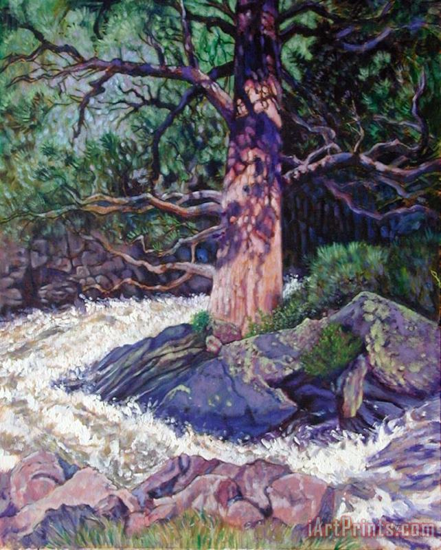 John Lautermilch Old Pine In Rushing Stream Art Painting