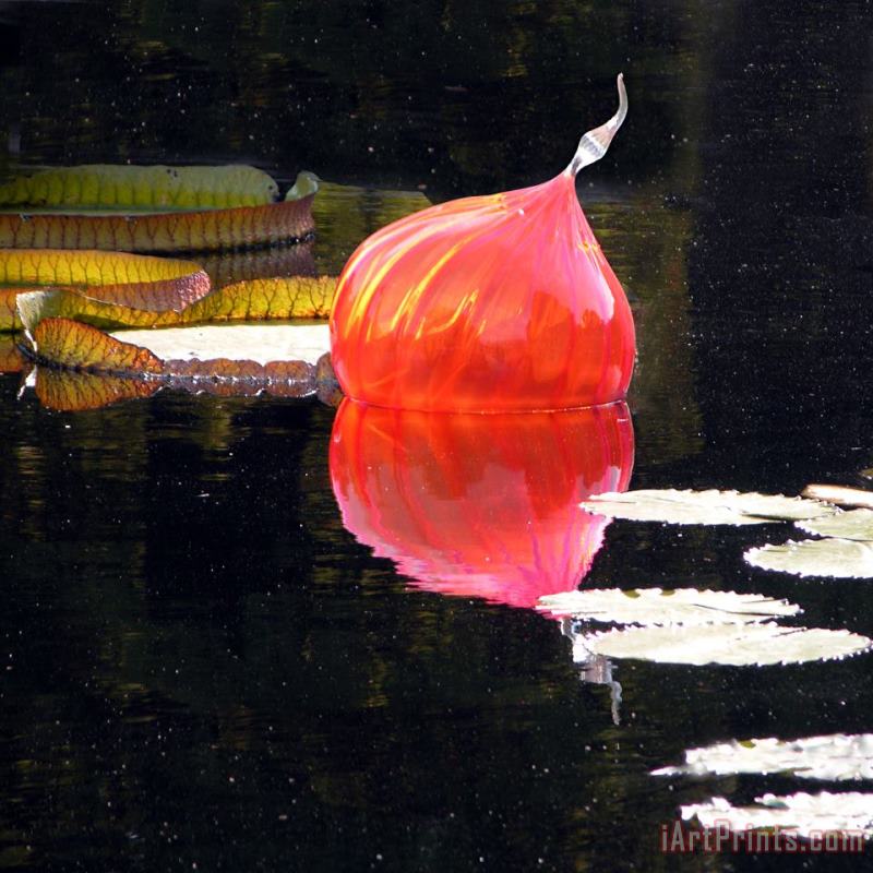 John Lautermilch Red Glass on Pond Art Print