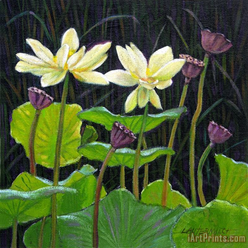 Touching Lotus Blooms painting - John Lautermilch Touching Lotus Blooms Art Print