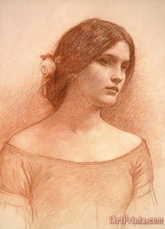 Study For The Lady Clare painting - John William Waterhouse Study For The Lady Clare Art Print