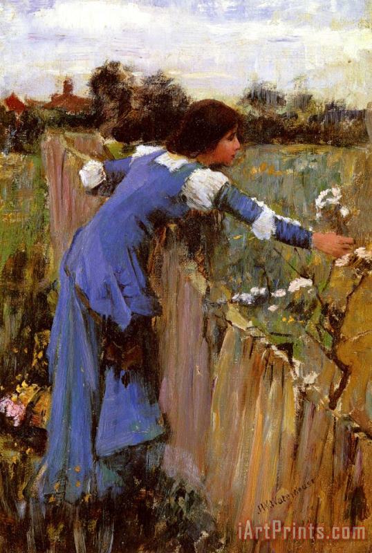 The Flower Picker painting - John William Waterhouse The Flower Picker Art Print