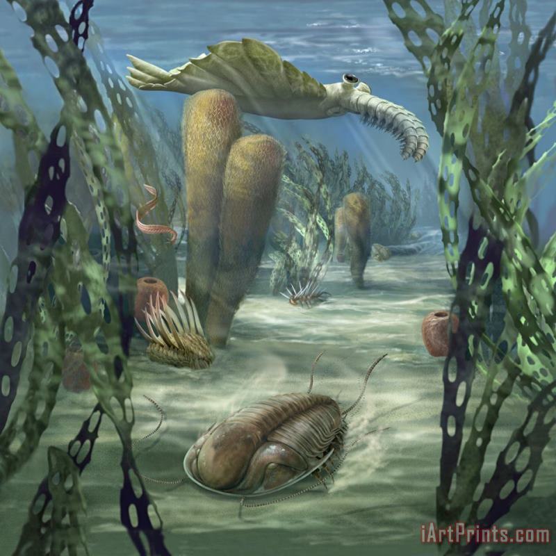 Cambrian Marine Scene painting - Karen Carr Cambrian Marine Scene Art Print