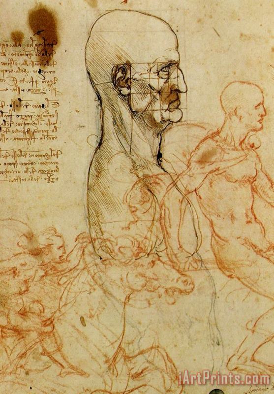 Leonardo da Vinci Anatomical Study Of A Man's Head Art Print