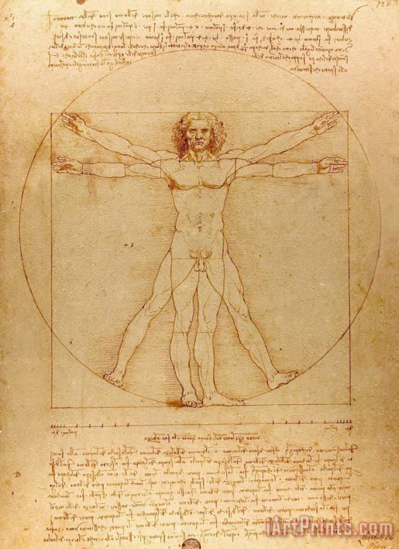 Leonardo da Vinci The Vitruvian Man Art Painting