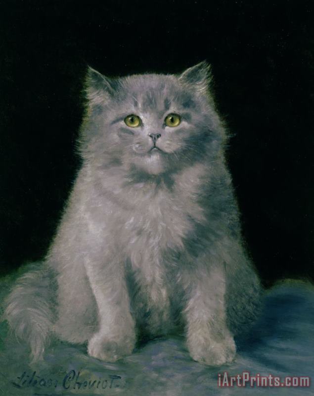 Study of a cat painting - Lilian Cheviot Study of a cat Art Print