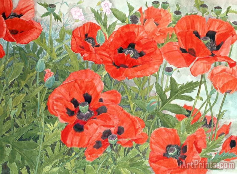 Poppies painting - Linda Benton Poppies Art Print